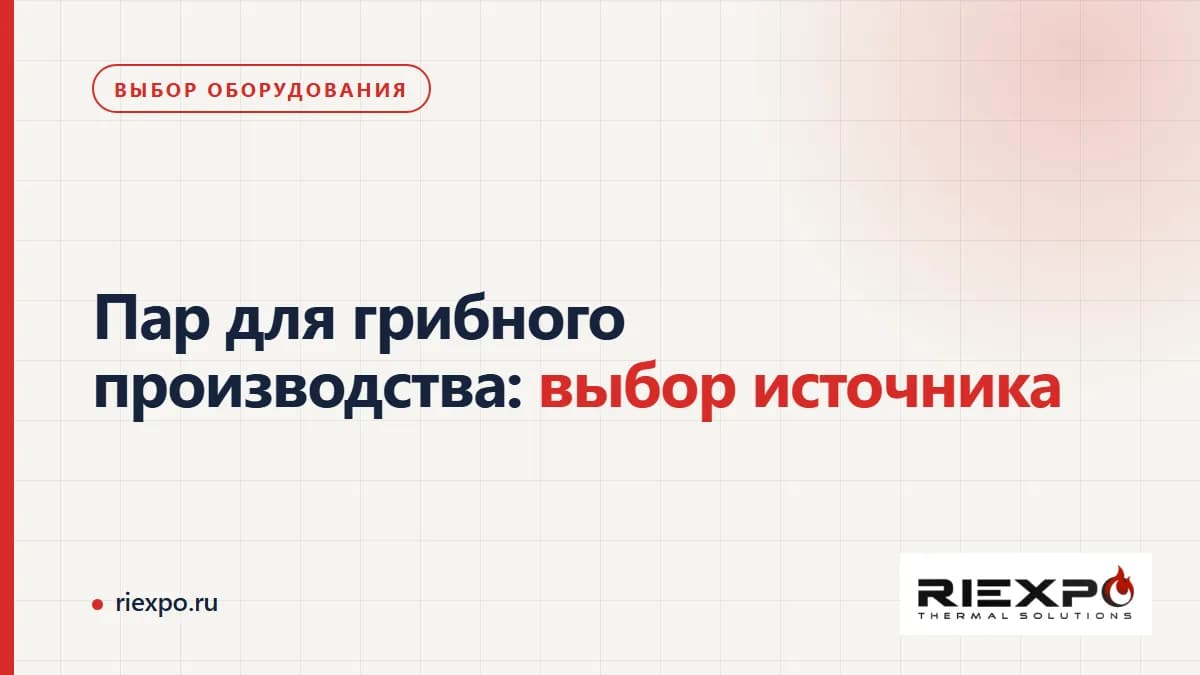 Пар для грибного производства: потребители, требования камеры и границы комплекта